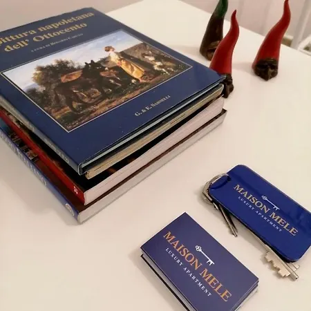 Maison Mele Luxury * Nápoles